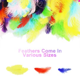 HXMJIED 100 Pcs Goose Feathers, Colorful Feathers, Feathers for Crafts, Craft Feathers, Striking Feathers, for DIY Decorations, Hat, Costume