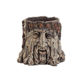 Bits and Pieces - Tree Face Garden Planter - Durable Polyresin Indoor-Outdoor Urn for Plants - Forest Inspired Whimsical Garden Décor