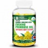 Natural 365 Gamma Linolenic Acid Evening Primrose Oil, 300 Tablets, 1 Piece / 내츄럴365 감마리놀렌산 달맞이 꽃 종자유, 300정, 1개