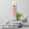 Moeta The New Healings Protein Treatment 250ml / 모에타 더