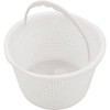 Fluidra Astralpool Astral Basket Skimmer Astral In-Ground with Handle 4402010504