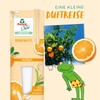 Frosch Oase Orange Blossom Refill 90 ml with Natural Oils
