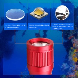 ORCATORCH D560 Mini Diving Light, Max 630 Lumens, Diver Light, Multifunctional Flashlight, LED, Night Diving, Underwater Light, 498.2 ft (150 m), Disaster Preparedness Goods, Fishing, Camping, Climbing (Red)