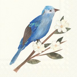 IHR Ideal Home Range Party Napkins Disposable 3-Ply Paper Lunch Napkin Pack, 6.5" x 6.5", Blue Bird And Blossoms, 20-Count