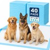 Dog Pee Pads Extra Large 55"X31" Puppy Pads for Dogs