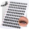 Goddvenus Cluster Lashes D Curl Individual Lashes, 100pcs Lashes Individual