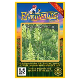 Everwilde Farms - 1000 Canadian Milk Vetch Native Wildflower Seeds - Gold Vault Jumbo Seed Packet
