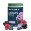 Organika Electrolitos con Colágeno Hidrolizado Frutos Silvestres 360 g