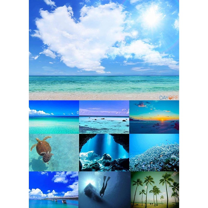 DAYOFF Diving Mask Goggles Case for Skiing Snowboarding 3D Storage