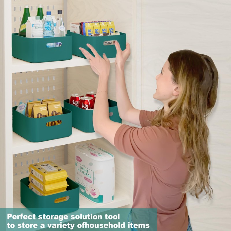 W&H 5 PCS Plastic Storage Boxes with Handle, Medium Plastic