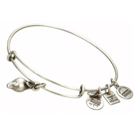 Alex and Ani Zest for Life SILVER  Charm Bangle bracelet cbd14zflrs