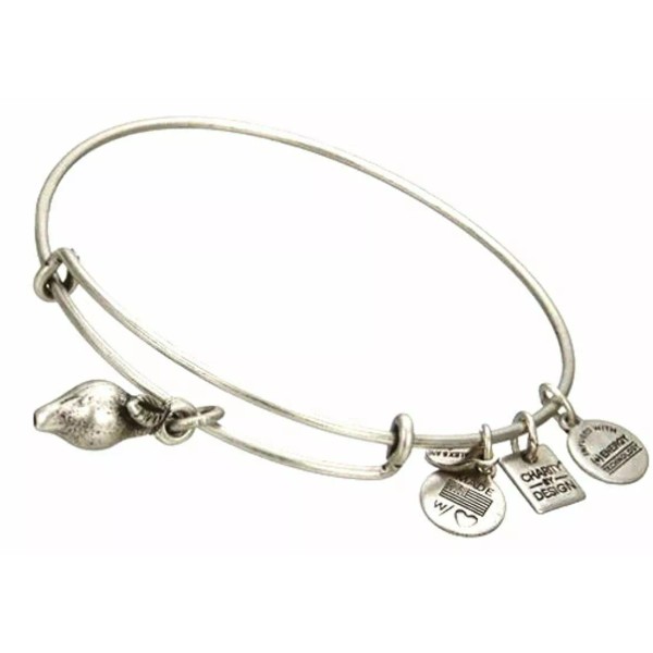 Alex and Ani Zest for Life SILVER Charm Bangle bracelet