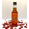 Spicy Chiltepin Sonora Hot Honey, Wildflower Honey with Mexican Chiltepin