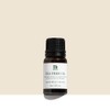 Benton tea tree oil 100% undiluted solution 10mL / 벤튼