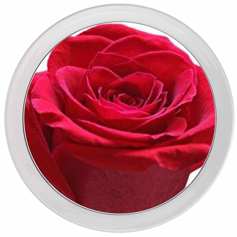 Miss Sweet 10X Magnifying Mirror with Suction Cup Suction Mirror