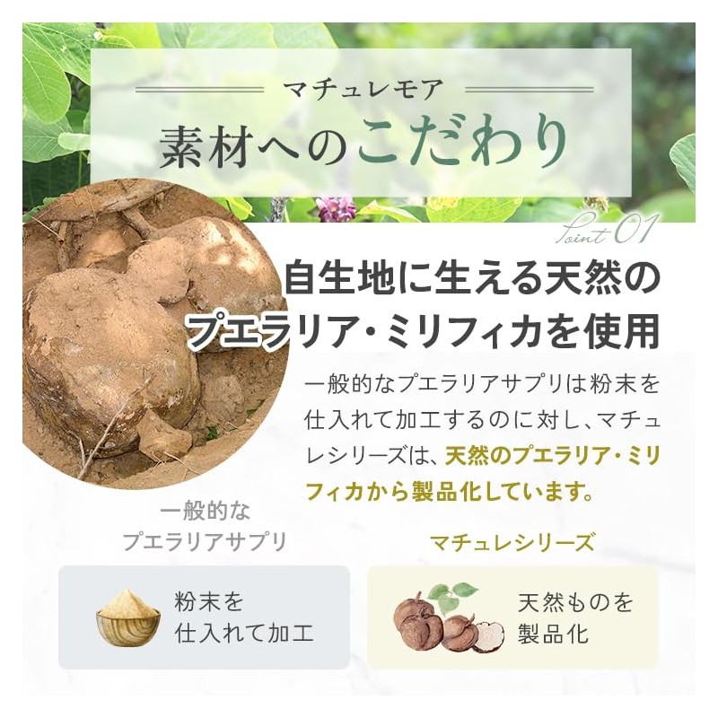 プエラリア マチュレ・モア 100㎎ 10粒 純天然 プエラリア・ミリフィカ サプリ