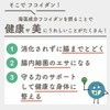 ヴェントゥーノ 海藻専科フコイダンブイ 90粒 約1か月分 沖縄フコイダン 高分子 海藻 サプリ
