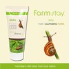 Farm Stay Korean Pure Snail Foam Cleanser [ 180ml /
