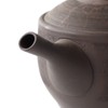 Tokocralabo Tokoname Ware 266349 Gyoku Kiln Teapot, Cera Mesh, Ceramic
