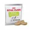 Royal Canin Edup 50g, comprehensive nutritional supplement, 1 piece / 로얄캐닌 에듁 50g, 종합영양제, 1개