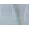 infactory Large Mosquito Net: Mosquito Net for Indoor and Outdoor