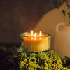 Bluecorn Botanica Beeswax Candle: 3-Wick Scented Candle Made with Pure