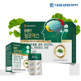 Ginkgo Max for blood circulation, 4 boxes of 120 tablets for 4 months. Ginkgo leaf extract can help improve blood circulation and memory. / 혈행엔 징코맥스 4개월분 120정 4박스 은행잎 추출물 혈행 기억력 개선에 도움을 줄수 있음