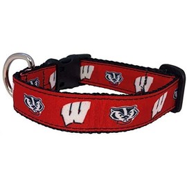 College Dog Collar (Medium, Wisconsin)