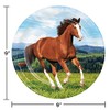 Trendware Wild Horse Paper Plates, 24 Count