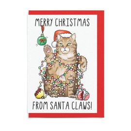 Sketchy Print Co - Funny Christmas Card - Santa Claws - Cat Themed Xmas Card For Wife Husband Best Friend