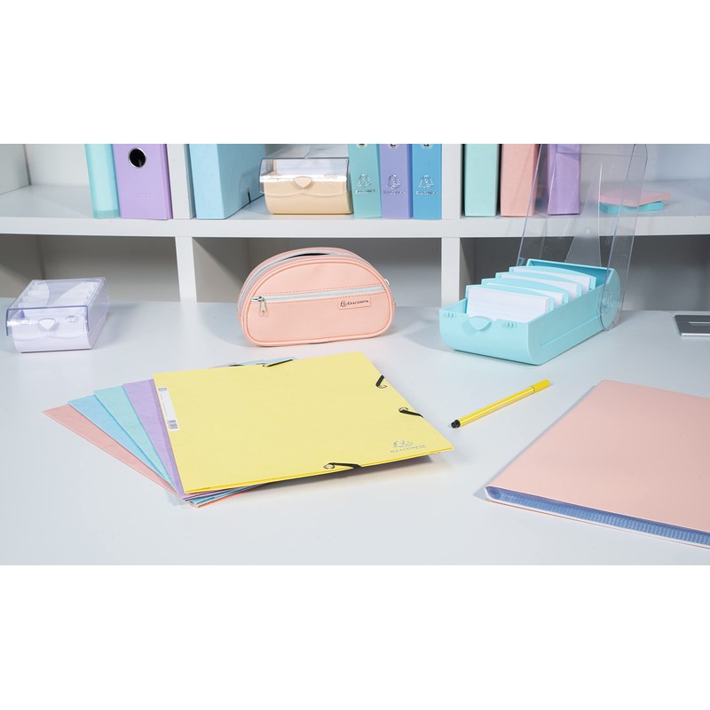 Exacompta Bunnybox 5339623D Flashcard File DIN A8 Landscape Including 100