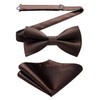HISDERN Bow Tie Pre-Tied Men's Bow Tie with Pocket Square