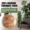 Handmade Coco Coir Moss Pole - 48 Inch Bendable Sticks