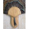Taxidermists Woodshop The Medium Oak Turkey Mounting Kit with Beard
