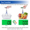 110lb Digital Luggage Scale with Overweight Alert for Air Travel
