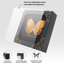 Stichophthalma Louisa Butterfly Framed Decoration - Handmade Taxidermy Butterfly Wood Shadow Box Collection, Framed Butterfly Taxidermy for Gothic Home Decor