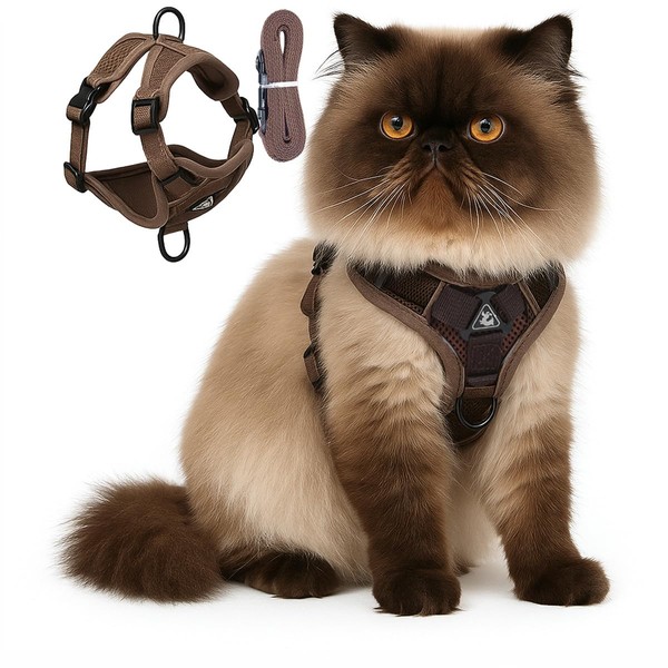 Cat Chest Harness and Leash Set for Walking Escape Proof,