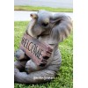 gardengreeters Large Elephant Statue Elephant Welcome Statue Elephant Figurine