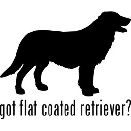 Got Flat Coated Retriever Sporting Dog Pet Car Truck Window Decal Sticker - Die cut vinyl decal for windows, cars, trucks, tool boxes, laptops, MacBook - virtually any hard, smooth surface