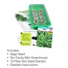 Window Garden - Sage Herb Kit - Grow Your Own