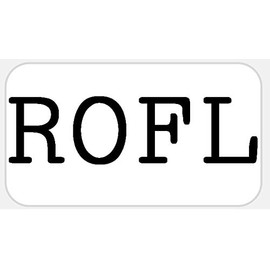 ROFL - 25 Stickers Pack 2.25 x 1.25 inches - Internet Text Speak Laugh LMAO LOL