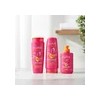 Elvive Dream Liso 680ml Shampoo + Acondicionador + Crema