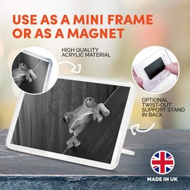 1 x Fridge Magnet - Frog Nature Frogs #39477