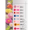 Woohome 143 PCS Paper Quilling Strips Flower Design Set Quilling
