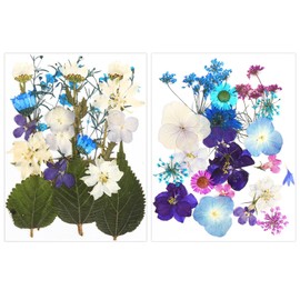 Fiori Secchi, Fiori Pressati, Fiori Secchi Pressati 2 Confezioni ca. 40 Fiori Secchi per Resina, Fiori Pressati Secchi Naturali per Biglietti, Segnalibri, Cornici, Gioielli DIY