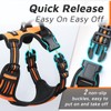 Eagloo Dog Harness No Pull, Walking Pet Harness with 2