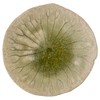 Marui Pottery 3-4082 Shigaraki Ware Hechimon Plate, Diameter Approx. 4.3