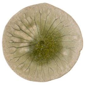 Marui Pottery 3-4082 Shigaraki Ware Hechimon Plate, Diameter Approx. 4.3 inches (11 cm), Lotus Leaf, Green