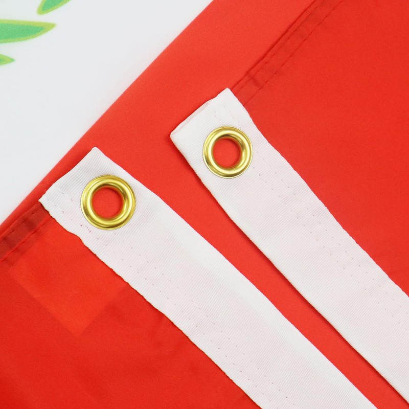 AZ FLAG - Peru Flag - 2x3 Ft- 100D Polyester