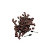TEMO 100 pc 1/4 Inch Sand Drum Grit 60 Coarse